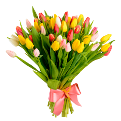 kissclipart-cut-flowers-clipart-tulip-cut-flowers-floral-desig-06aae591848fd6c8