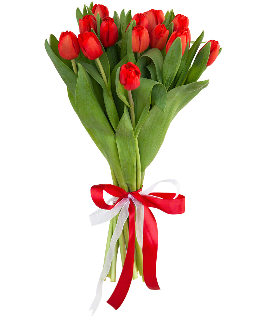 Букет тюльпанов 15шт красных упаковка