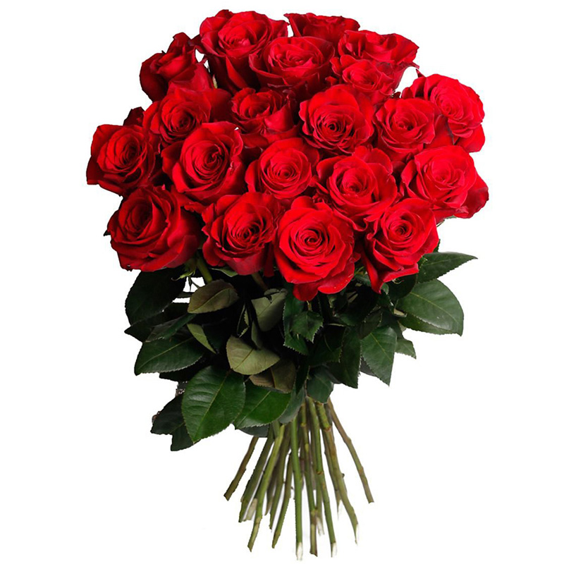 Букет из 19 роз «Зарево» 50 см