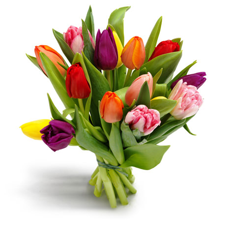 Букет из 15 тюльпанов «Семицвет»