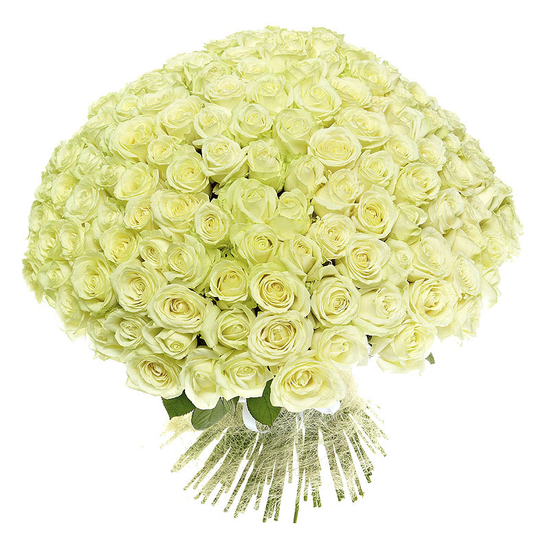 Букет из 151 розы  «Монамур» 70 см