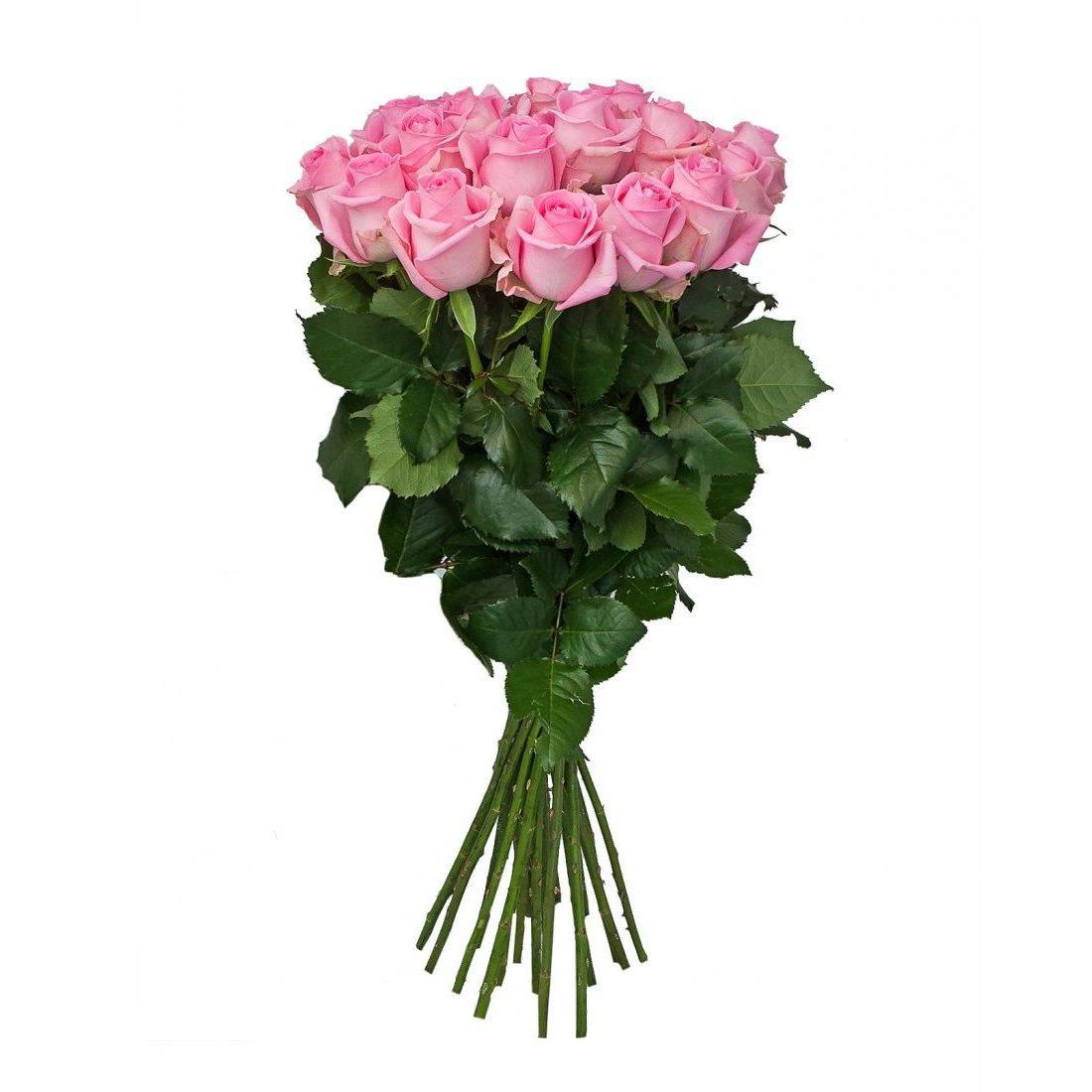 Букет из 25 роз «София» 50 см