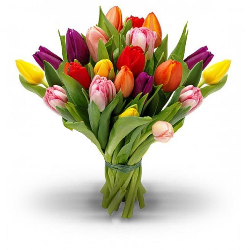 Букет из 25 тюльпанов «Магия победы»