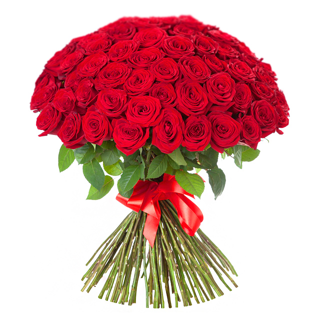 Букет из 101 розы «Наповал» 60 см