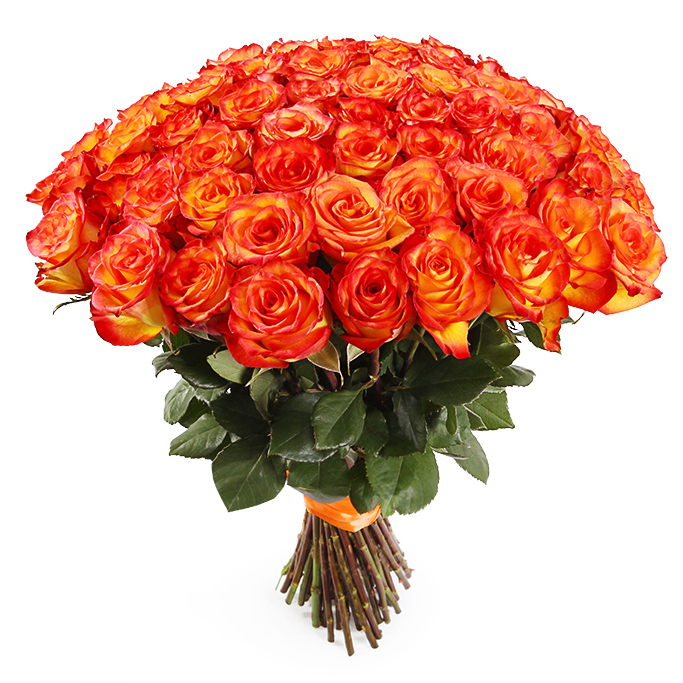 Букет из 51 розы  «Оранжевое Небо» 70см