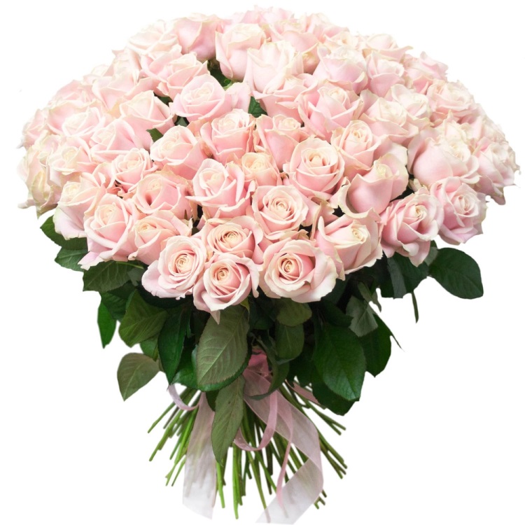 Букет из 101 розы «Ребекка» 70 см