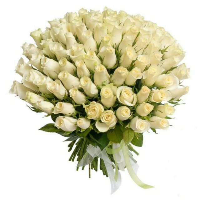 Букет 101 роза «Белоснежка» 50 см премиум
