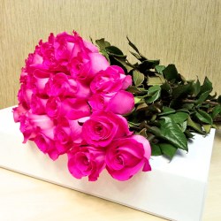 25pinkrose133